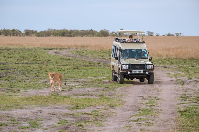 3 Days Luxury Safari Tour in Tanzania - Itinerary Overview