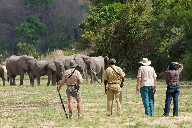 3-Days Private Nyerere NP Game Drive and Boat Safari Tour - Captivating Boat Safari Adventure