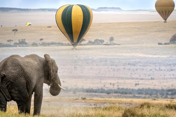 3 Days Private Tour in Maasai Mara - Accommodation and Meals