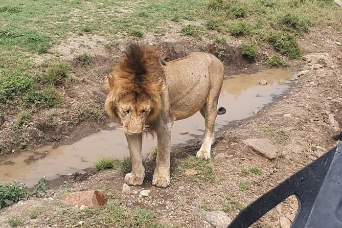 3 Days Safari in North- Ngorongoro, Tarangire, Mt. Oldeani - Safari Inclusions and Exclusions