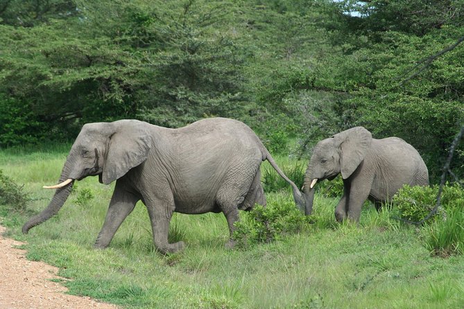3 Days Safari - Mikumi National Park - Inclusions and Exclusions