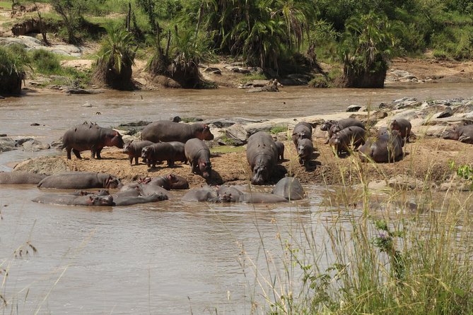 3 Days Safari Tour in Lake Manyara and Ngorngoro - Itinerary Overview