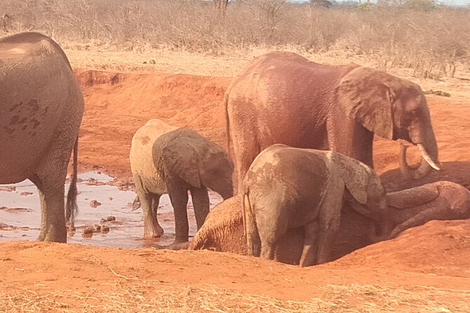 3 Days Safari Tsavo East and West - Itinerary Highlights