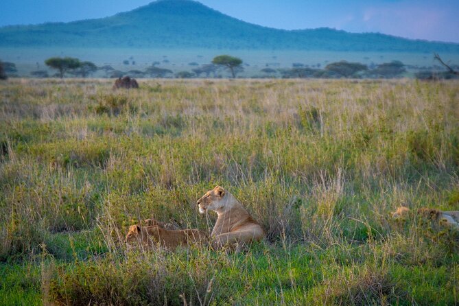 3 Days Serengeti & Ngorongoro Group - Serengeti National Park