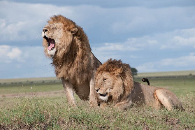 3 Days Tanzania Budget Group Joining Safari Tour - Itinerary Overview