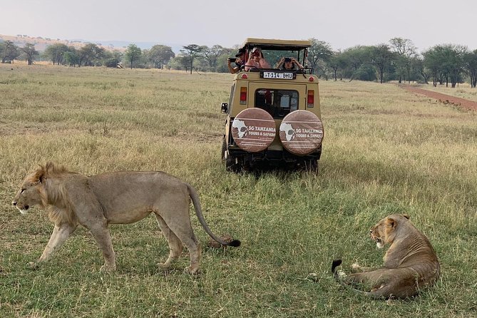 3 Days Tanzania Safari - Included Experiences