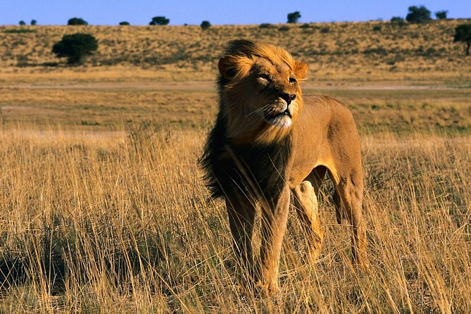 3 Days Tanzania Short and Spicy - Itinerary Highlights