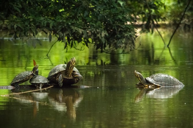3-Days Tortuguero National Park Eco Adventure Tour - Departure Details