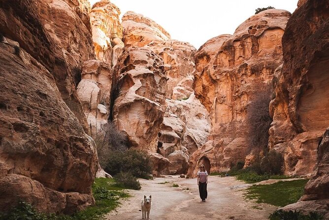 3-Hour 4x4 Safari in Little Petra - Exploring the Petra Region