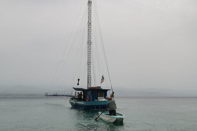 3 Hour Boat Tour in Messina - Schedule