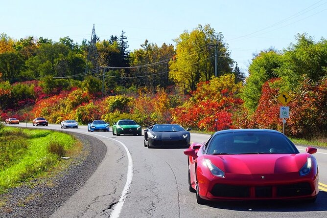 3 Hour Exotic Car Tour Driving 4 to 5 Super Cars - Scenic Route Through Niagara