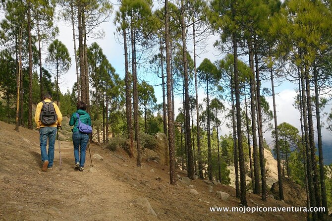 3-Hour Hiking Experience in Roque Nublo - Inclusions and Essentials