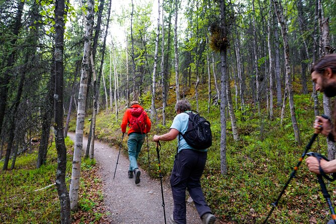 3 Hour Naturalist Walking Tour in Denali National Park - Accessibility and Inclusions
