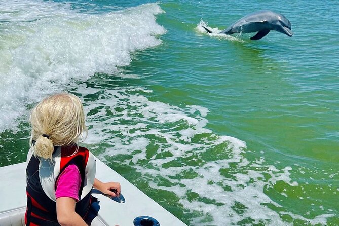 3 Hour Private Dolphin & Shelling Tour - Pricing and Inclusions