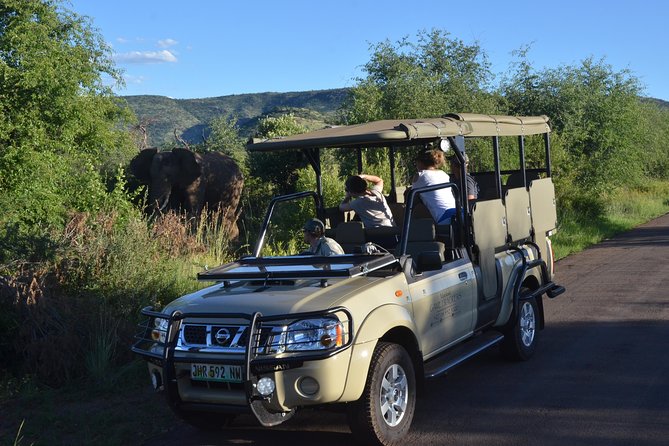 3-Hour Private Game Drive of Pilanesberg National Park - Highlights of the Game Drive