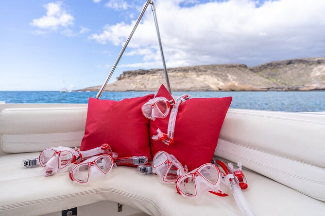 3 Hour Private Luxury Charter Experience in Costa Adeje, Tenerife - Participation Guidelines
