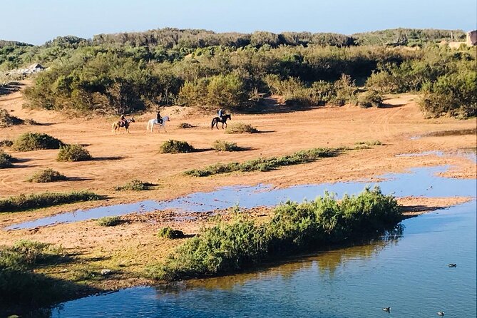 3-Hour Private Ride Between Beach and Dunes - Inclusions and Pickup