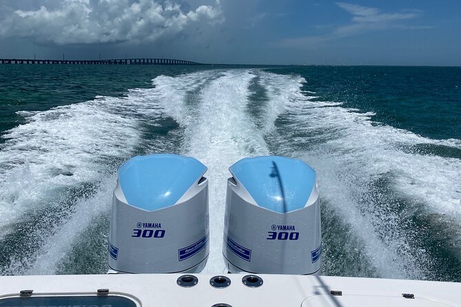 3 Hour Private Snorkeling in Marathon Florida - Tour Inclusions