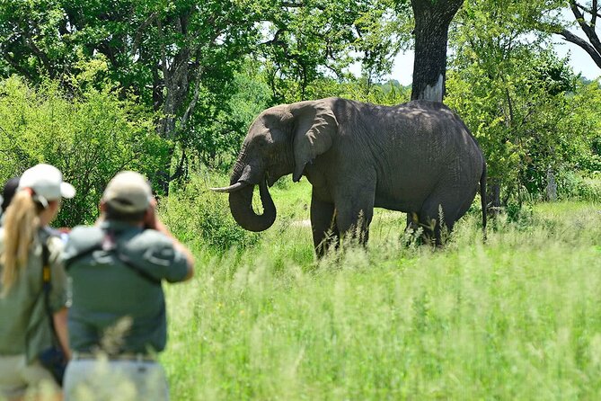 3 Hour Private Tour in Mosi-Oa-Tunya National Park - Private Tour Highlights