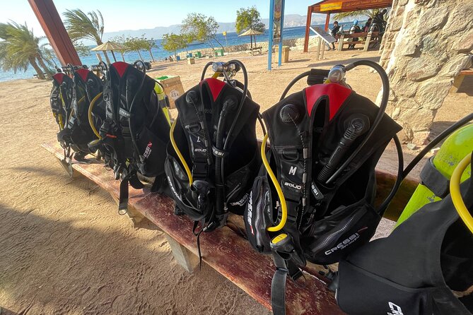 3-Hour Shore Dive or Snorkel Experiences in Aqaba - Meeting and Pickup Details