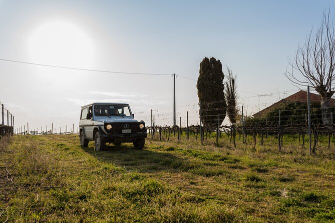 3-Hours of Activities With Safari Grand Tour and Tasting in Vineyards - Transportation and Participation