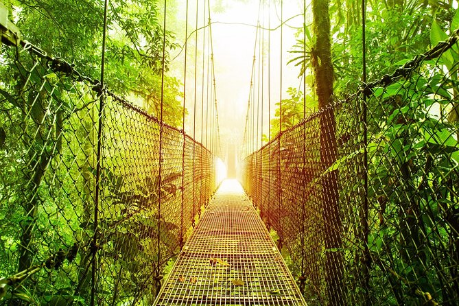 3 in 1 Eco Tour Rain Forest Aerial Tram, River Cruise & Nature Walk Private Tour - Pickup and Start Time