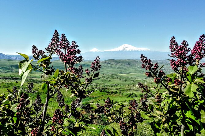 3 Nights 4 Days in Armenia Review - Logistics and Inclusions