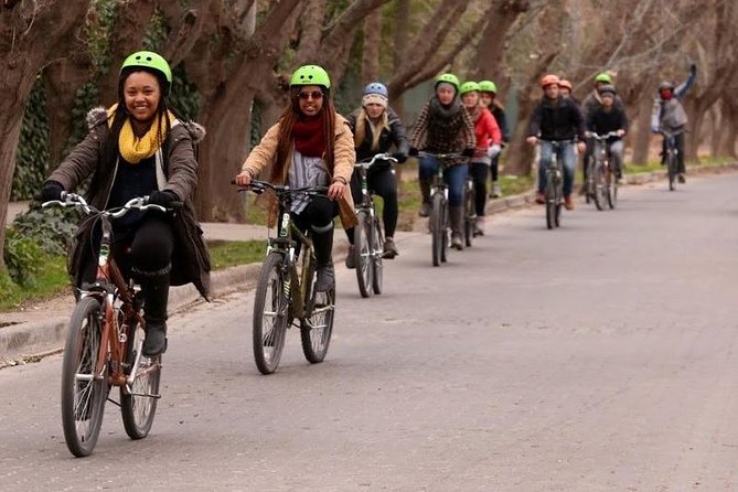 3 Wineries Biking Tour in Chacras De Coria With Lunch - Inclusions and Amenities