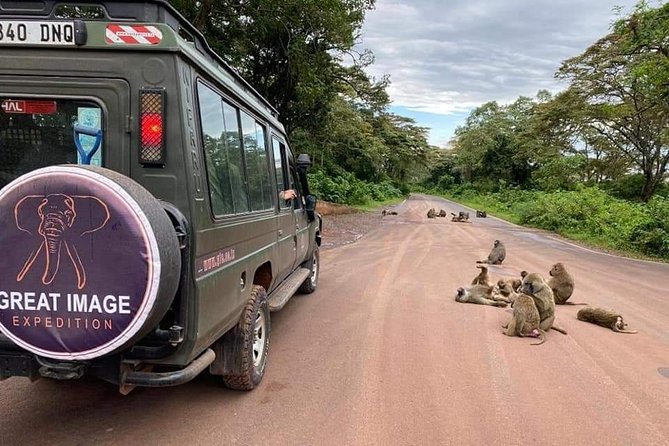 3days Serengeti National Park and Ngorongoro Crater Tanzania Safari - Serengeti Wildlife Encounters
