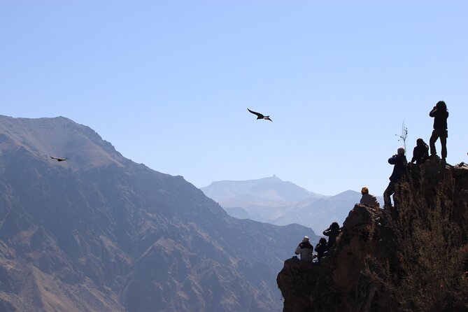 4 Day Arequipa and Colca Canyon Tour - Meeting and Pickup Details