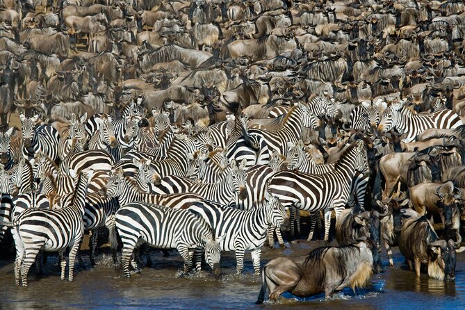 4-Day Group Safari to Tarangire, Serengeti & Ngorongoro Crater - Inclusions and Exclusions
