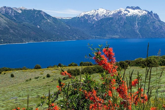 4-Day Journey: Exploring San Martin De Los Andes - Exclusions