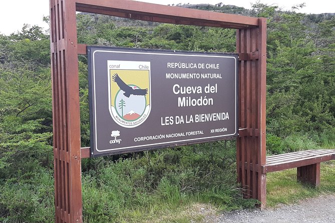 4-Day Private Patagonia Tour: Torres Del Paine, Glaciers & Penguins - Health and Safety Measures