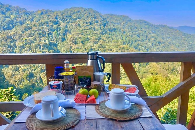 4-Day Private Tour in Bwindi Forest National Park - Itinerary Overview