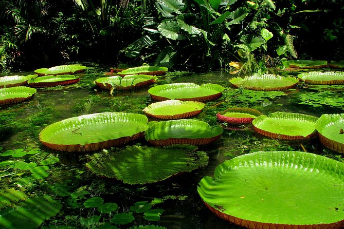 4 Day Private Wild Amazon Adventure Tour - Package Inclusions