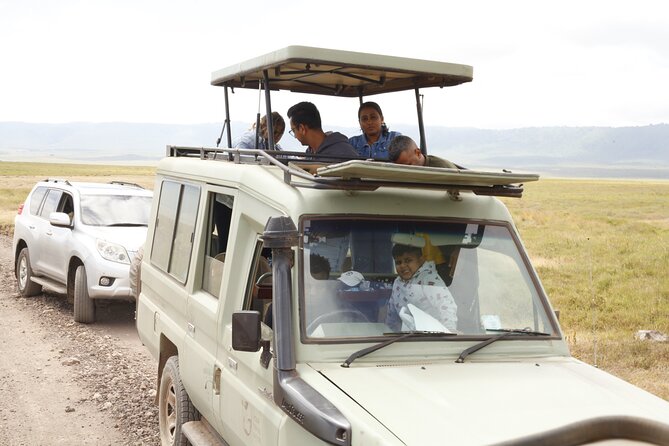 4-Day Tanzania Private Luxury Drive In-Drive Out Safari -2025 - Accommodation and Meals