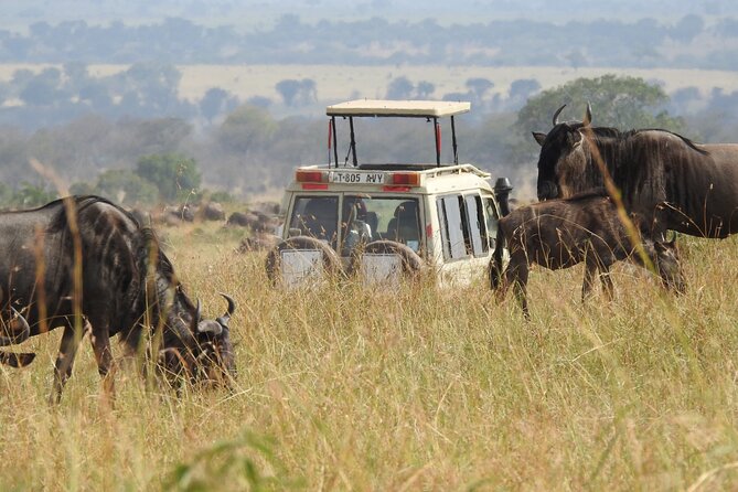 4-Day Tarangire, Serengeti, Ngorongoro Crater - Included Amenities