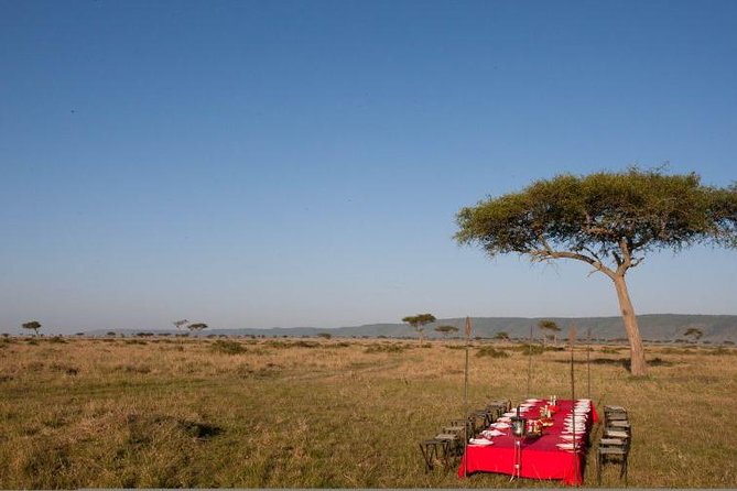 4 Days Enthralling Safaris in Kenya-lake Nakuru Masai Mara - Meeting and Pickup Details