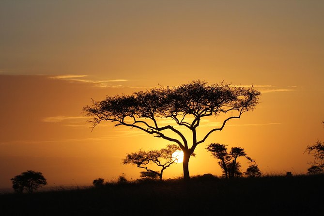 4 Days Game Drives Safari Tarangire, Serengeti and Ngorongoro Crater - Inclusions and Amenities
