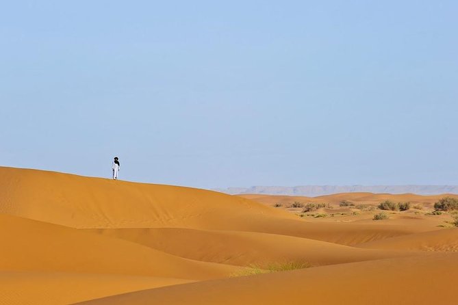 4 Days Hiking To Desert - Meeting and Pickup