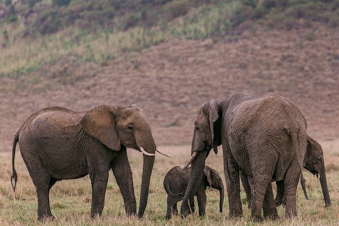 4 Days Masai Mara Safari - Accommodations