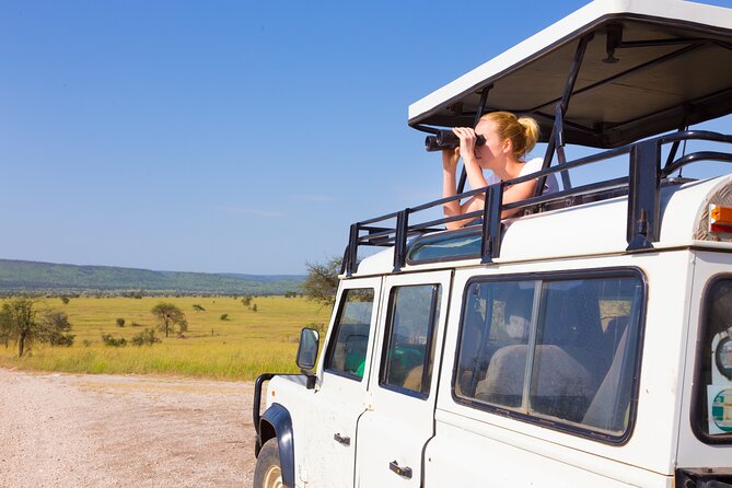 4 Days Private Lodge Safari - Lodging and Comfort