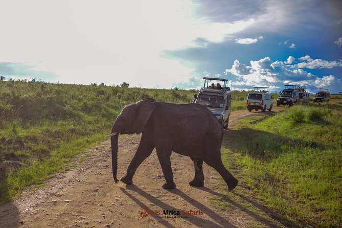 4 Days Safari Adventure Masai Mara and Nakuru Park Group - Included in the Package