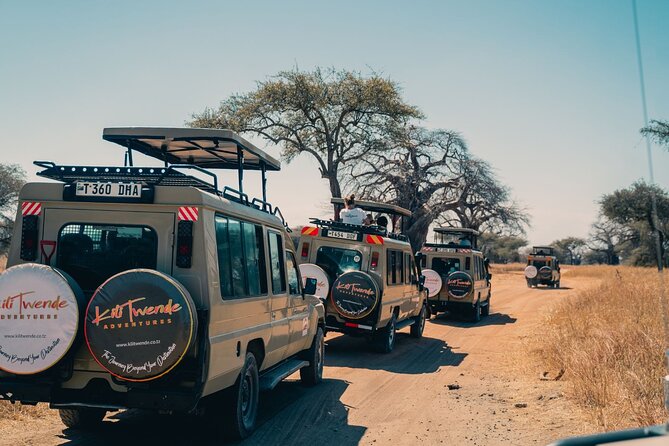 4 Days Tanzania Budget Safari - Pickup and Meeting Details