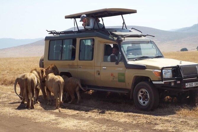 4 Days Tanzania Camping Safari - Inclusions and Amenities