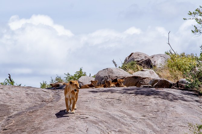 4 Days Tarangire , Ngorongoro ,Manyara and Lake Eyasi Village - Meals and Timing