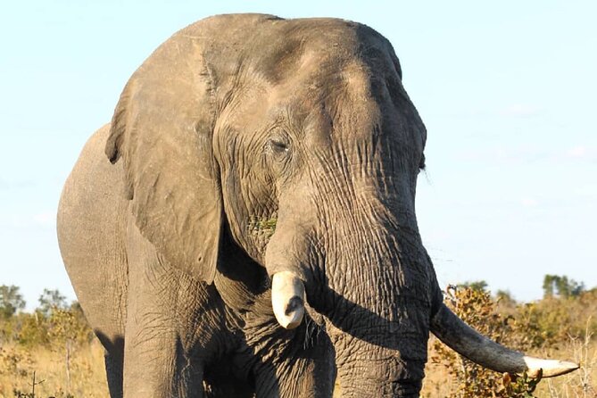 4 Days Victoria Falls Safari Tour & Chobe National Park Game Drive - Transportation and Accessibility
