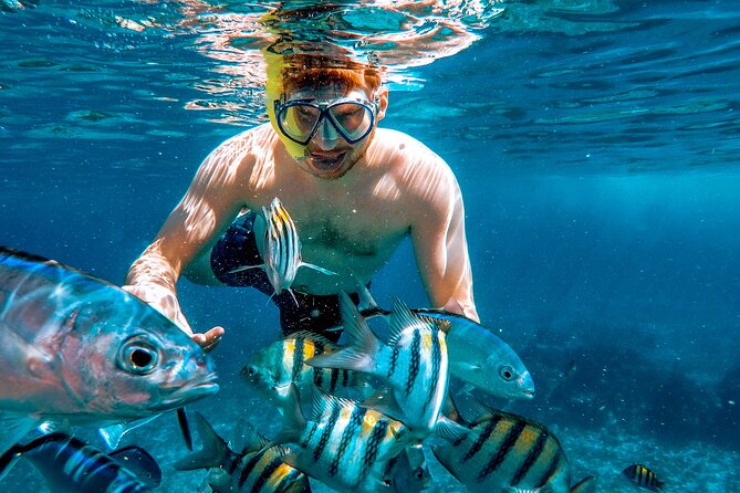 4 Hour Cozumel Reefs Snorkeling - Booking Information