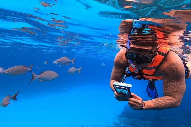 4-Hour Private 44 Leopard Luxury Catamaran Tour W/ Food, Open Bar & Snorkeling - Included Amenities