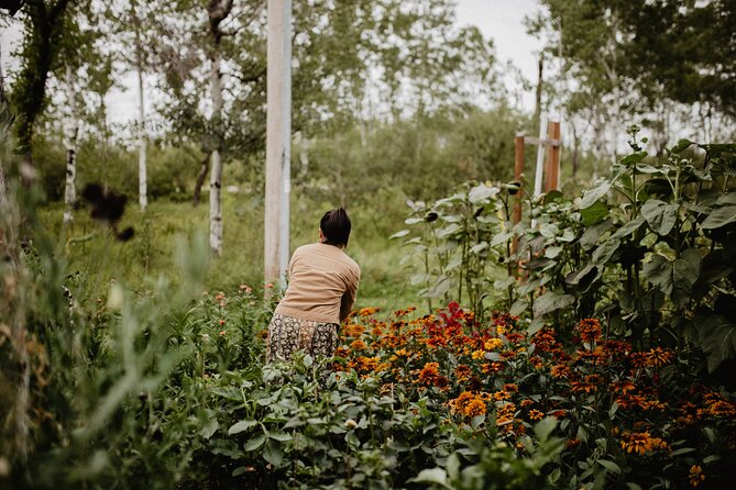 4-hour Tinta Experience At the Farm in La Broquerie - Meeting and Pickup